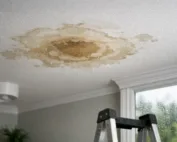 Ceiling Stains After Rain: What They Mean