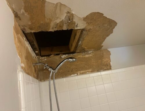 Ice Dam Ceiling Stains: What Michigan Homeowners Should Do